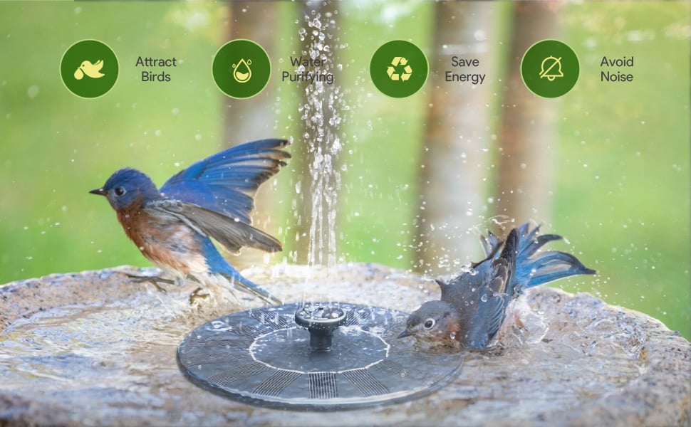 Black Friday Hot Sale 49% OFF 🔥Solar-Powered Bird Fountain Kit