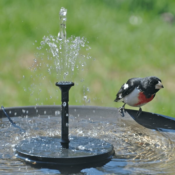 Black Friday Hot Sale 49% OFF 🔥Solar-Powered Bird Fountain Kit