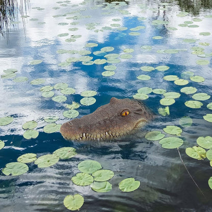 Simulation Floating Crocodile Head🐊🐊
