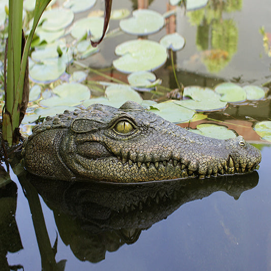 Simulation Floating Crocodile Head🐊🐊