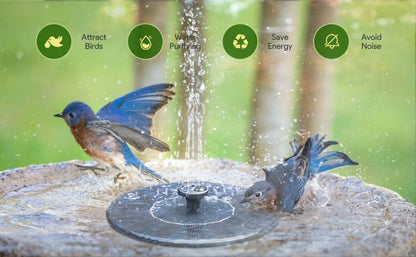 Black Friday Hot Sale 49% OFF 🔥Solar-Powered Bird Fountain Kit