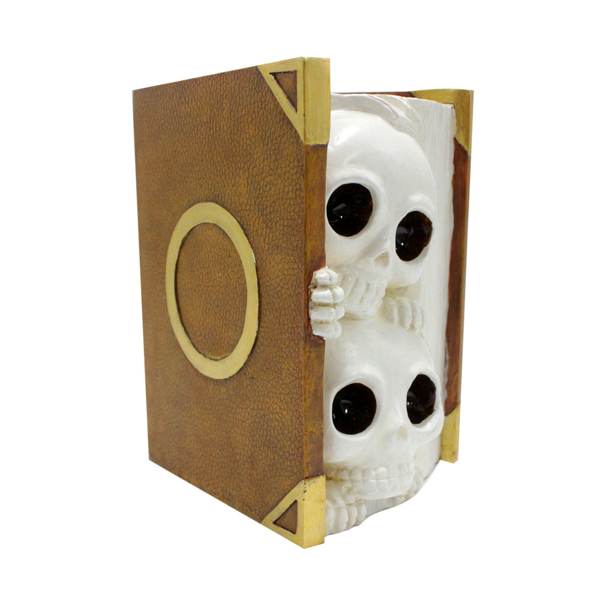 Book Skull Resin Planter Pot💀💀