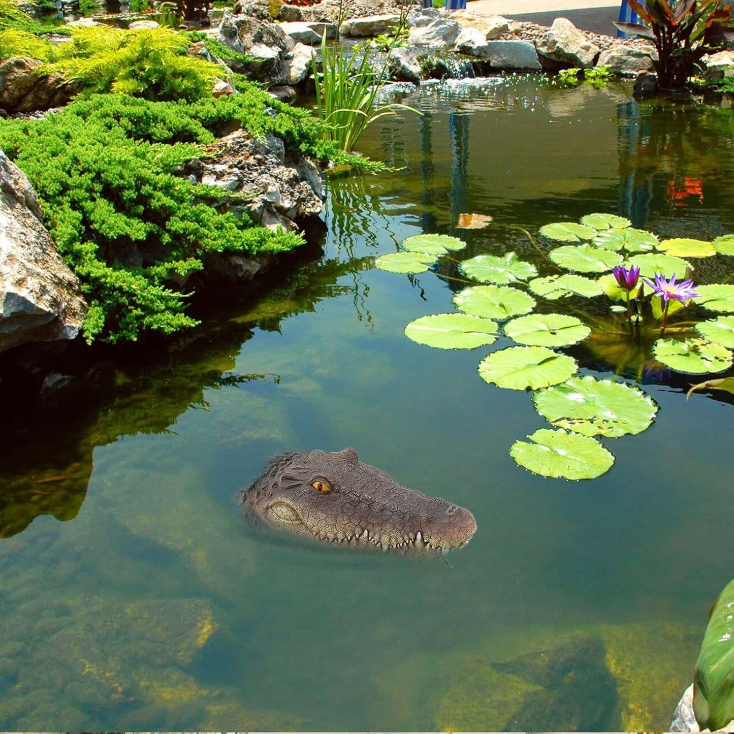 Simulation Floating Crocodile Head🐊🐊