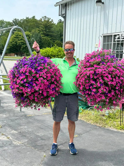 🔥This Week's Special Sale 70% Off- UV Simulation Artificial flower🌺